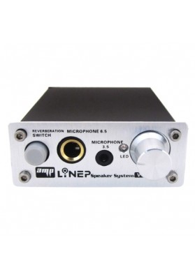 A907 Professional Two-channel Microphone Amplifier Dual Microphone Reverb